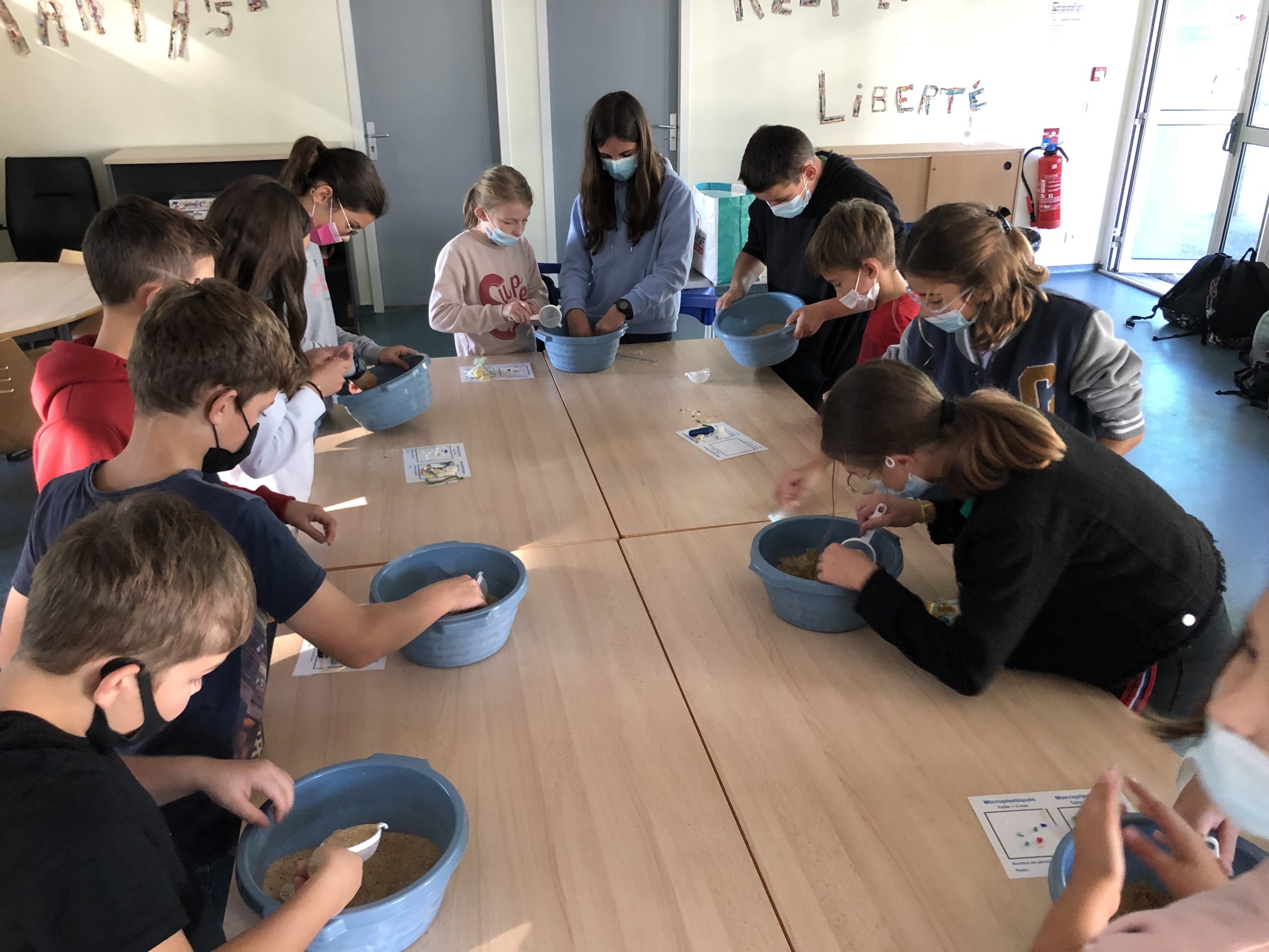 Projets Scolaires sur le thème de l'environnement Projets Scolaires sur le thème de l'environnement, encadré par un professionnel avec de nombreux thèmes d'intervention